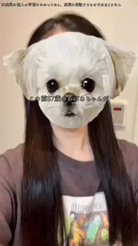 介護士🐤さなのTikTok投稿