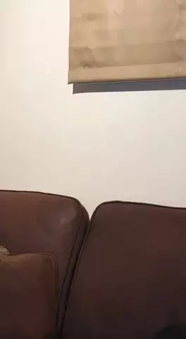 レオの日記のTikTok投稿