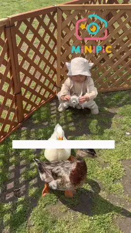 ゆいくん🧸🤍のTikTok投稿