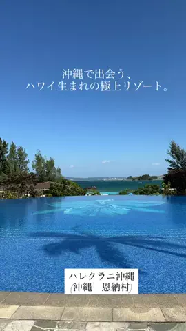 カリスマLIFEのTikTok投稿
