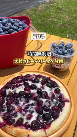 ながぴの｜長野県子連れおでかけ・旅行のTikTok投稿