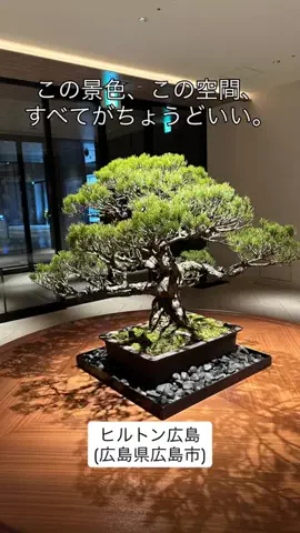 カリスマLIFEのTikTok投稿