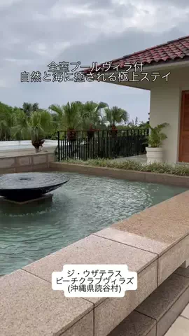 カリスマLIFEのTikTok投稿