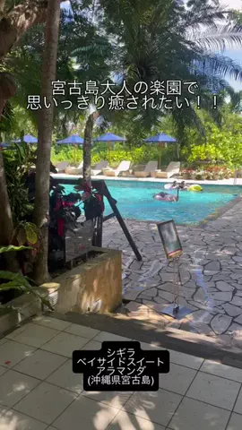 カリスマLIFEのTikTok投稿