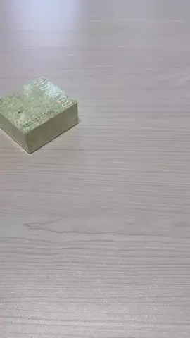 まめのTikTok投稿