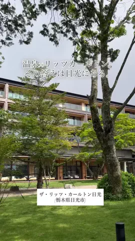 カリスマLIFEのTikTok投稿