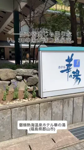 カリスマLIFEのTikTok投稿