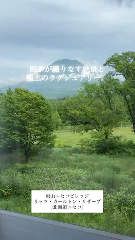 カリスマLIFEのTikTok投稿