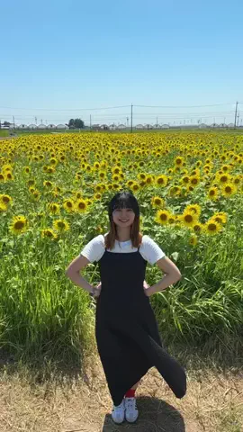 奈良ランドのTikTok投稿