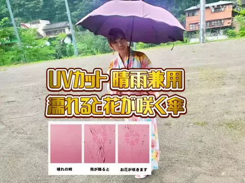 🌻あーりん🌻のTikTok投稿