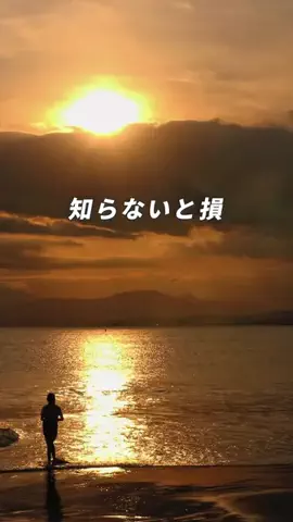 シュン | 大人の休日ガイドのTikTok投稿