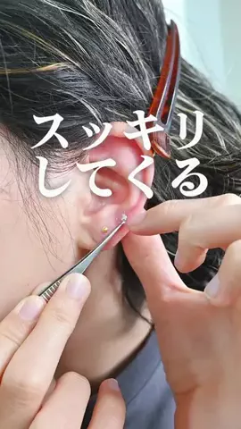 りょこのTikTok投稿
