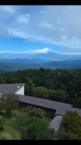 かなな🐮🐯🐰💟のTikTok投稿