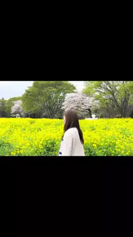 東京OLちゃん♡のTikTok PR投稿：📍立川ワシントンホテル 観光地にもアクセスが良くて便…