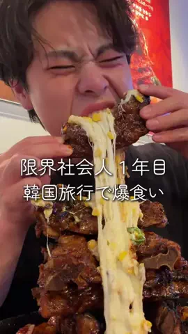 すだなるのTikTok投稿