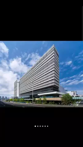 Henrique realのTikTok投稿