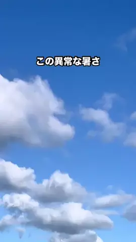 みゆきの暮らしのTikTok投稿