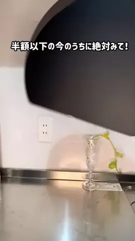 みゆきの暮らしのTikTok投稿