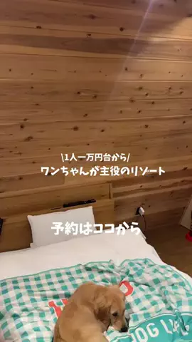 なみちゃん旅のTikTok投稿