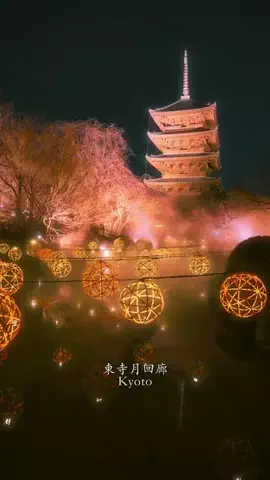 🌟ななえ🌟/エモい風景を撮る人のTikTok投稿