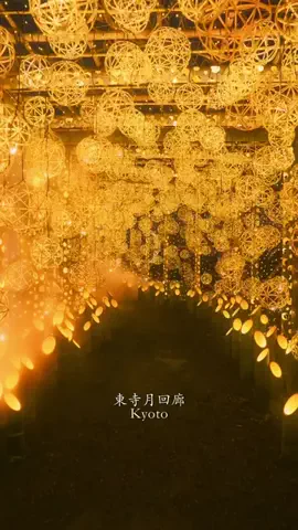 🌟ななえ🌟/エモい風景を撮る人のTikTok投稿