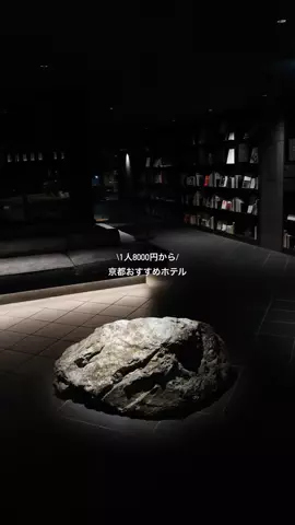 なみちゃん旅のTikTok投稿