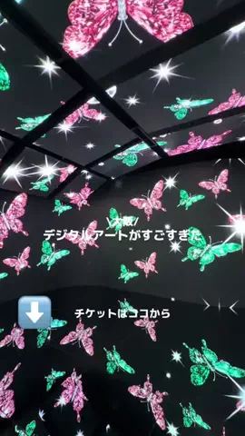 なみちゃん旅のTikTok投稿