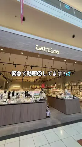 sangoのTikTok投稿