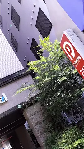 あけのTikTok投稿