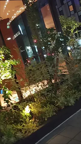 あけのTikTok投稿