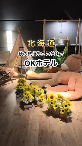 札幌住みK家のおでかけログのTikTok投稿