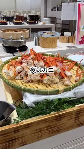 札幌住みK家のおでかけログのTikTok投稿