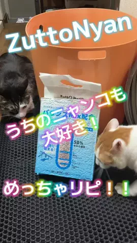 麻衣ママのTikTok投稿