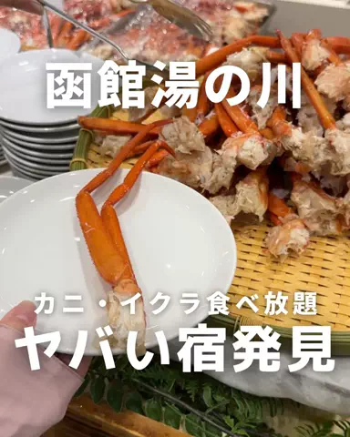 札幌住みK家のおでかけログのTikTok投稿