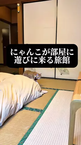 旅ニキ遊山💫飯モク男子旅のTikTok投稿