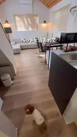 コスパ旅@コスパ良くオシャレに旅行✈️のTikTok投稿