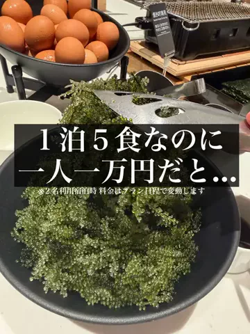 旅ニキ遊山💫飯モク男子旅のTikTok投稿