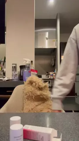 職業TikTokrのTikTok投稿