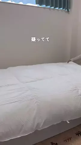 parun_kurashiのTikTok投稿