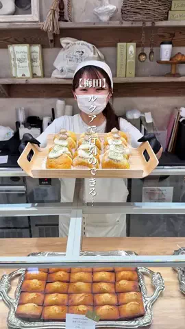 梅田グルメ【公式】 | ランチ・ディナーのTikTok投稿