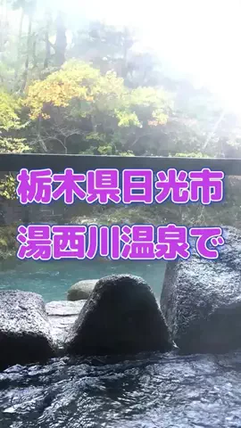 おでかけポコのTikTok投稿
