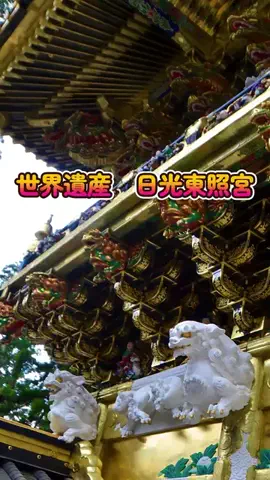 おでかけポコのTikTok PR投稿：世界遺産【日光東照宮】TikTok Goで人気の定番スポット！GO…