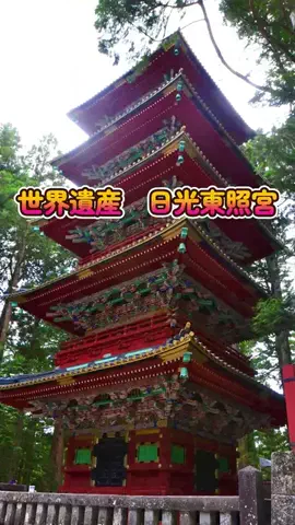 おでかけポコのTikTok投稿