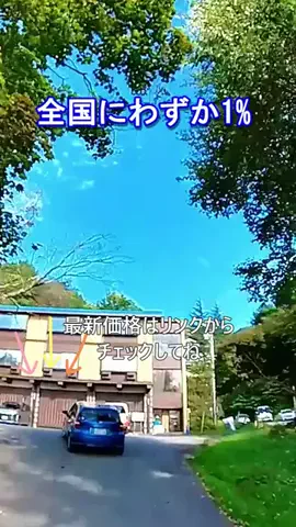 おでかけポコのTikTok投稿