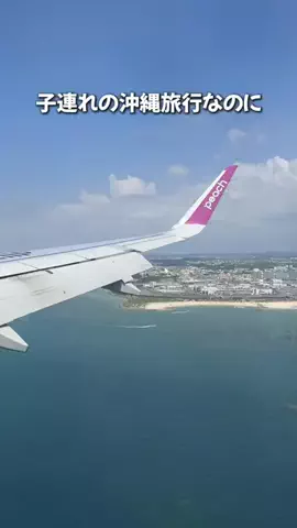 しごおわ主婦のTikTok投稿