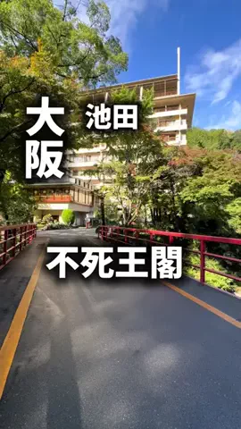 関西ごはんのTikTok PR投稿：限界OLのホテル紹介。大阪から遠出せずに温泉旅館気分を…