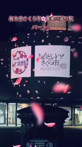 🌜夢の香り🌛のTikTok投稿