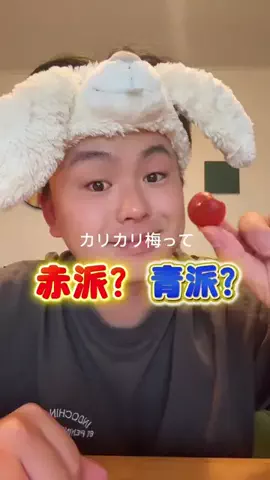 はるかユウキ。のTikTok投稿