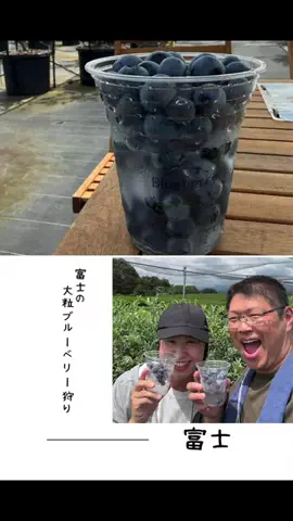 肉好き団長夫婦のTikTok投稿
