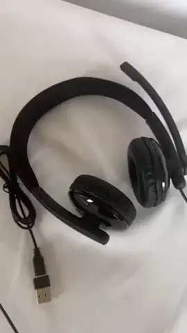 LittleBambooのTikTok投稿